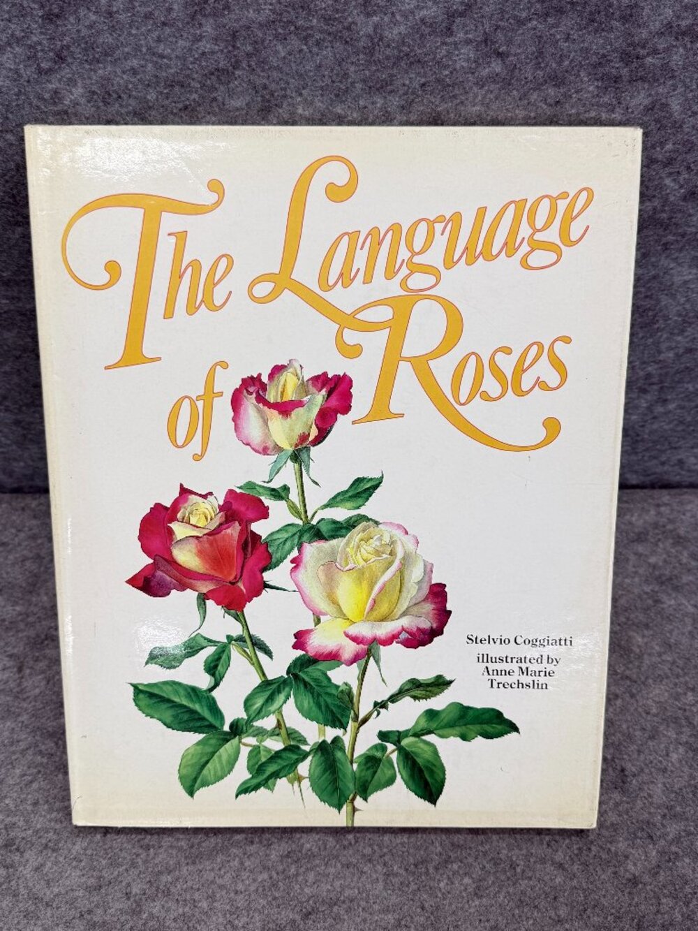 Language of Roses 1986 Stelvio Coggiatte Color Illustrations HC Illustration